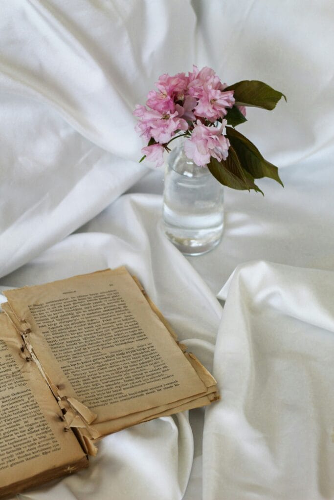 esra korkmaz ynvri9whxsq unsplash