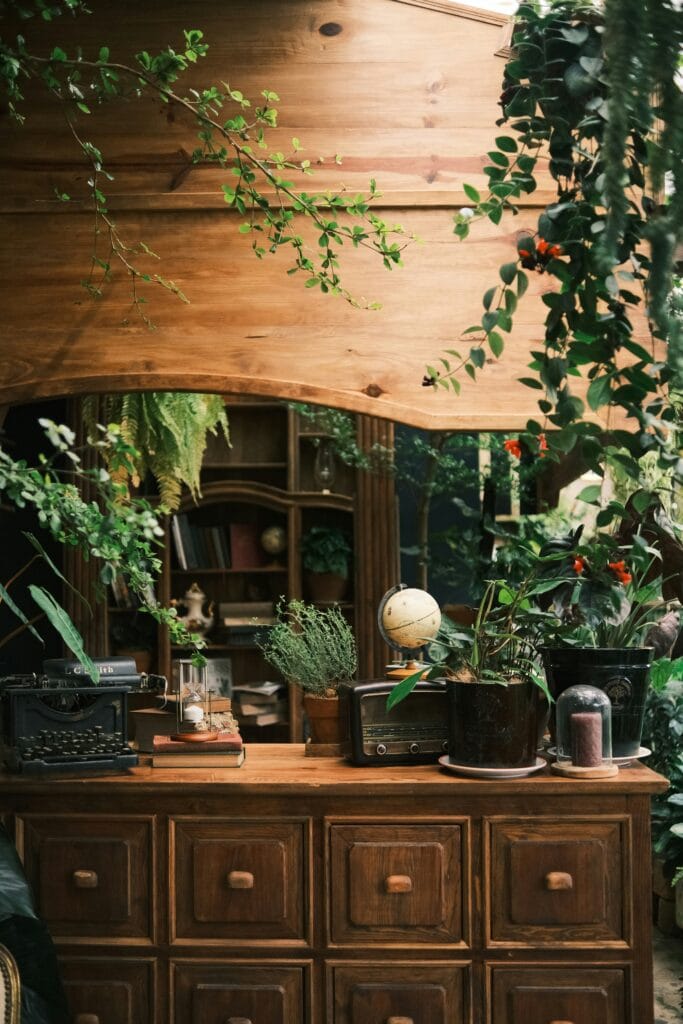 truog dieu xo0gspob1by unsplash